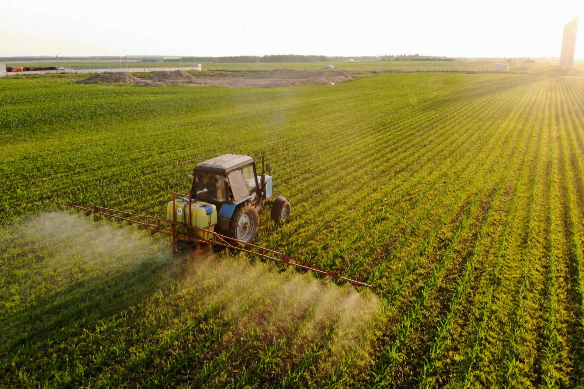 Agricultura y Ganadería