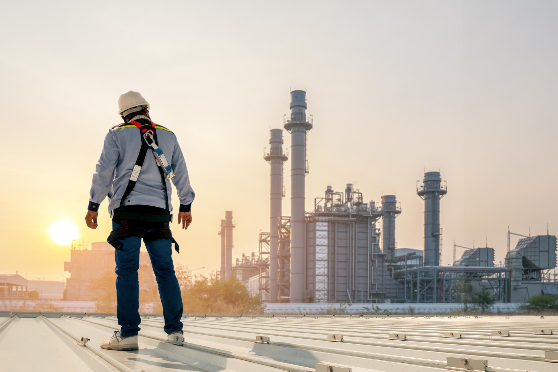 Petróleo y sus derivados